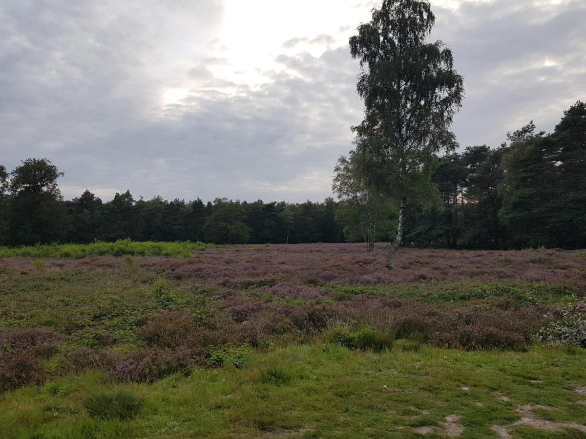 De Lindenhoeve Valthe Exteriér fotografie